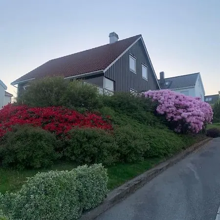 Sentralt Pa Byhaugen, Naer Ons 스타방에르